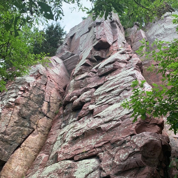 Meet your Posher, Cassandra - Picture 1 of 1